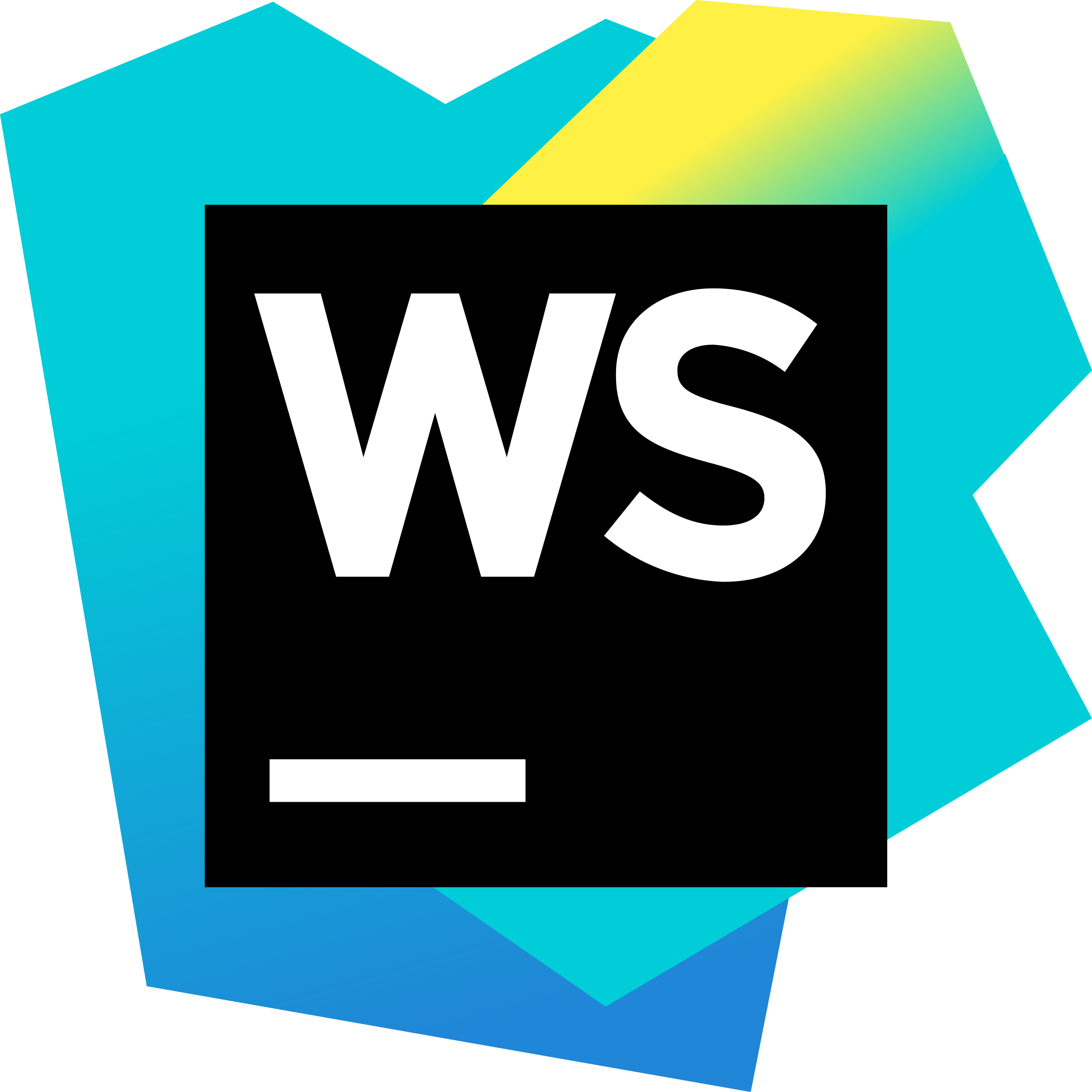 WebStorm